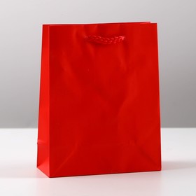 Пакет подарочный ламинированный, упаковка, «Красный», S 12 х 15 х 5,5 см