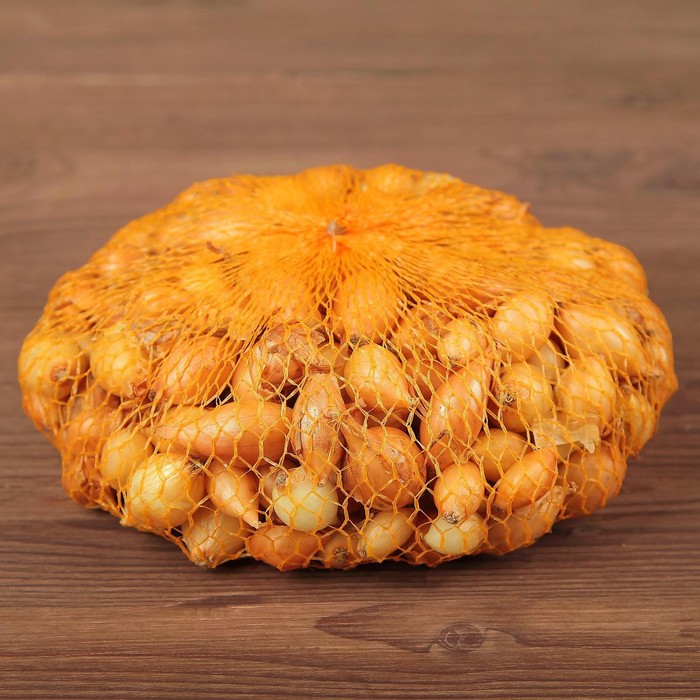 

Лук севок Купидо/Cupido F1®, 21/24 р/р, 5 кг, (+/-10%), Голландия
