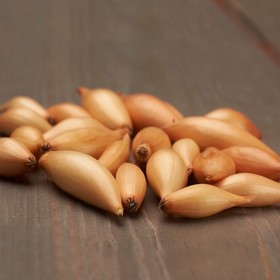 

Лук севок Бирнформиге/Birnformige®, 21/24 р/р, 20 кг, (+/-10%), Голландия