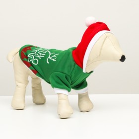 

Толстовка Merry Christmas, XL (ДС 40, ОГ 50 см)