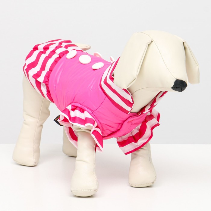 Курточка для собак с воланами, размер 2 (ДС 23,ОШ 26, ОГ 33 см), розовая курточка для собак с воланами размер 5 дс 39 ош 38 ог 49 см чёрная