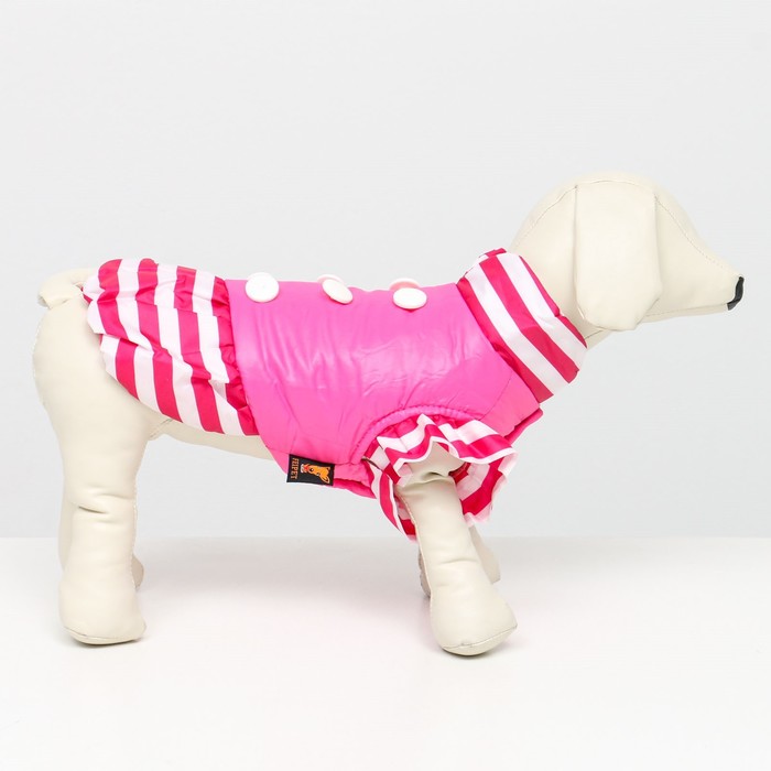 фото Курточка для собак с воланами, размер 2 (дс 23,ош 26, ог 33 см), розовая