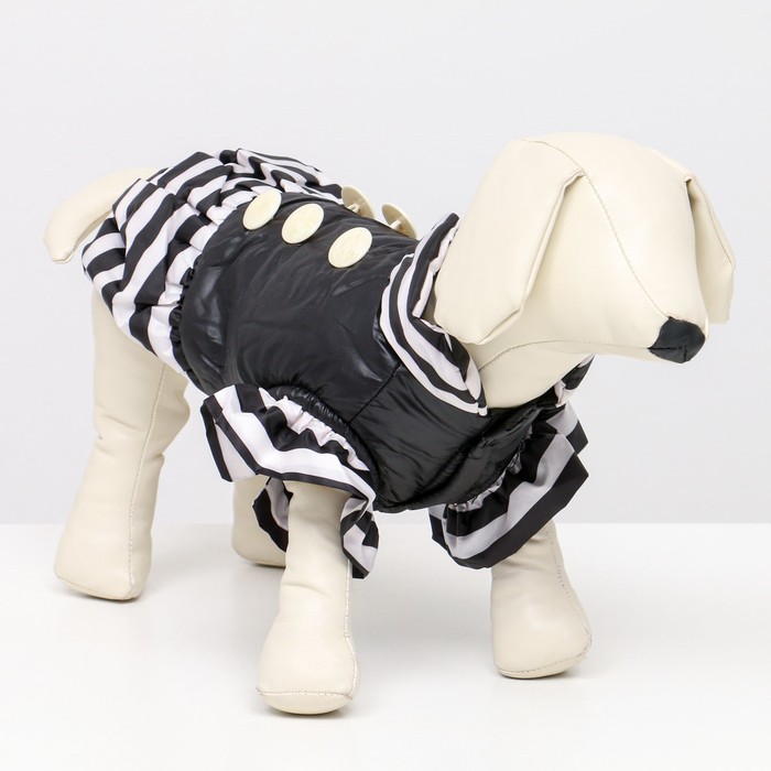 Курточка для собак с воланами, размер 5 (ДС 39,ОШ 38, ОГ 49 см), чёрная курточка для собак с воланами размер 5 дс 39 ош 38 ог 49 см чёрная