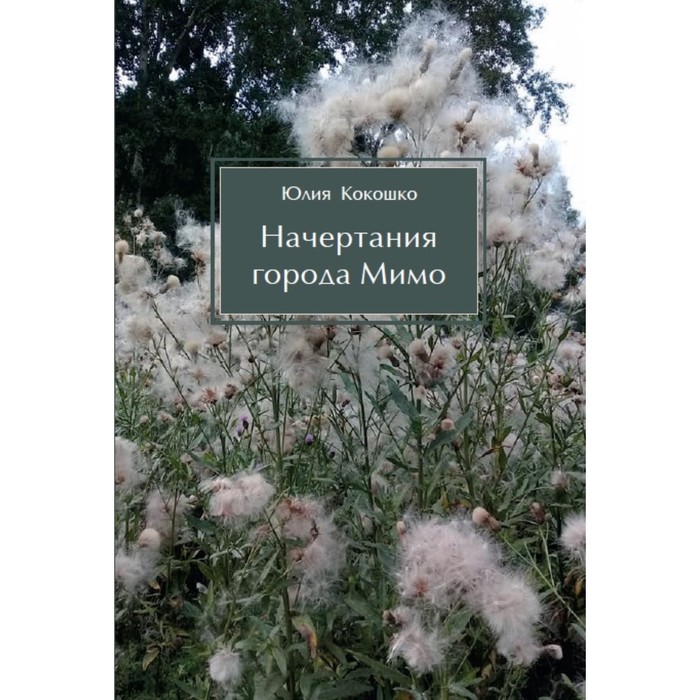 Начертания города Мимо. Кокошко Ю. болтянская н мимо света мимо тьмы