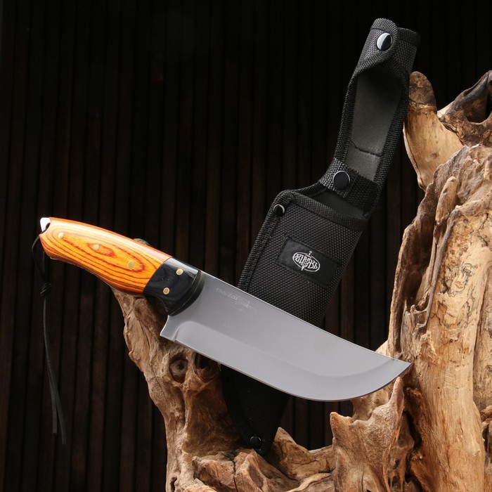 Нож охотничий Телец сталь - 40х13, рукоять - дерево, 29 см нож кавказский танто 2 стальная гарда сталь 40х13 рукоять орех 16 см