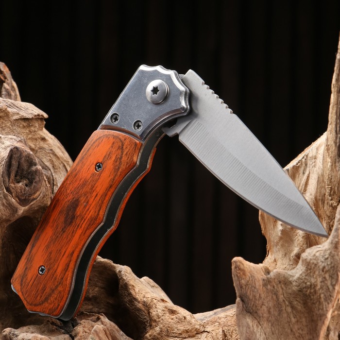 фото Нож складной "фарт" сталь - 420, рукоять - бакелит, 20 см мастер клинок