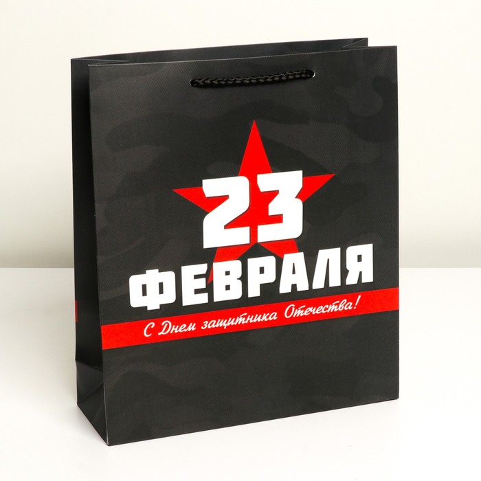 

Пакет подарочный ламинированный вертикальный, упаковка, «С праздником!», M 26 х 30 х 9 см