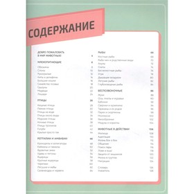 

Животные «Инфографика»