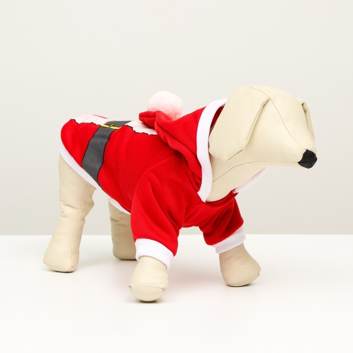 

Толстовка Santa, XS (ДС 20, ОГ 30 см)