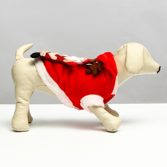

Куртка на кнопочках с меховой отделкой Santa, M (ДС 25, ОГ 37 см)