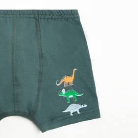 

Трусы-боксеры для мальчика, цвет тёмно-зелёный/рис. Динозавры, рост 128 см (р.32)