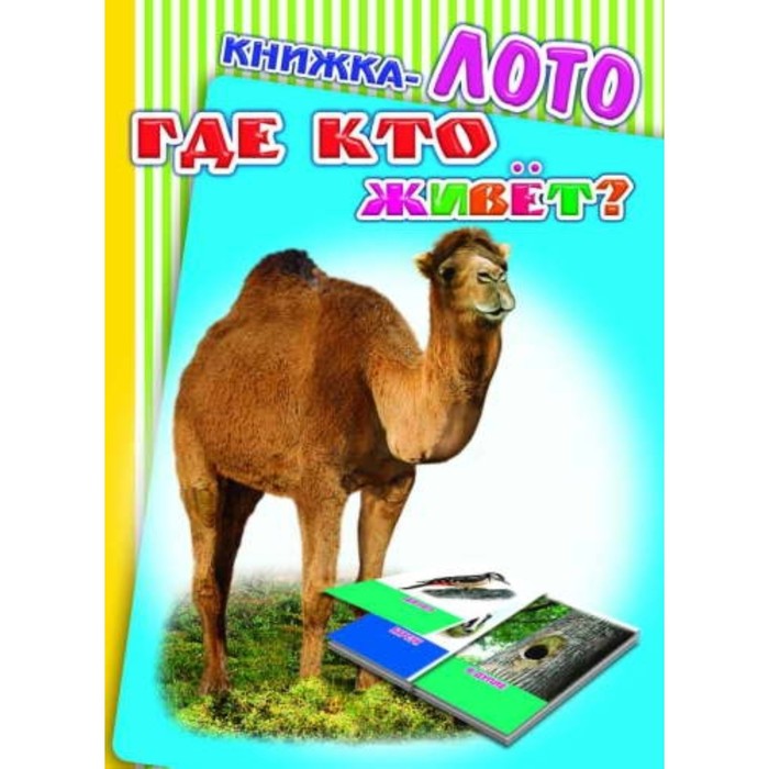 Объемные фигуры