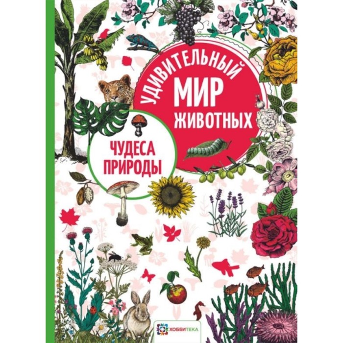 Чудеса природы