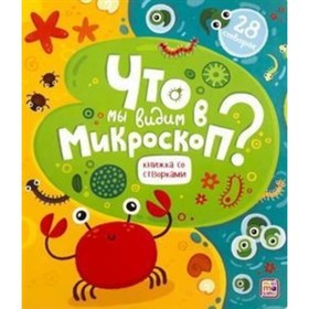 

Что мы видим в микроскоп