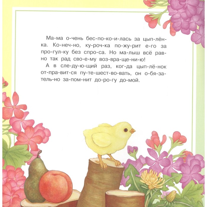 

Любопытный цыпленок