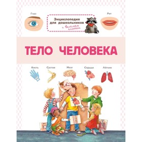 

Тело человека