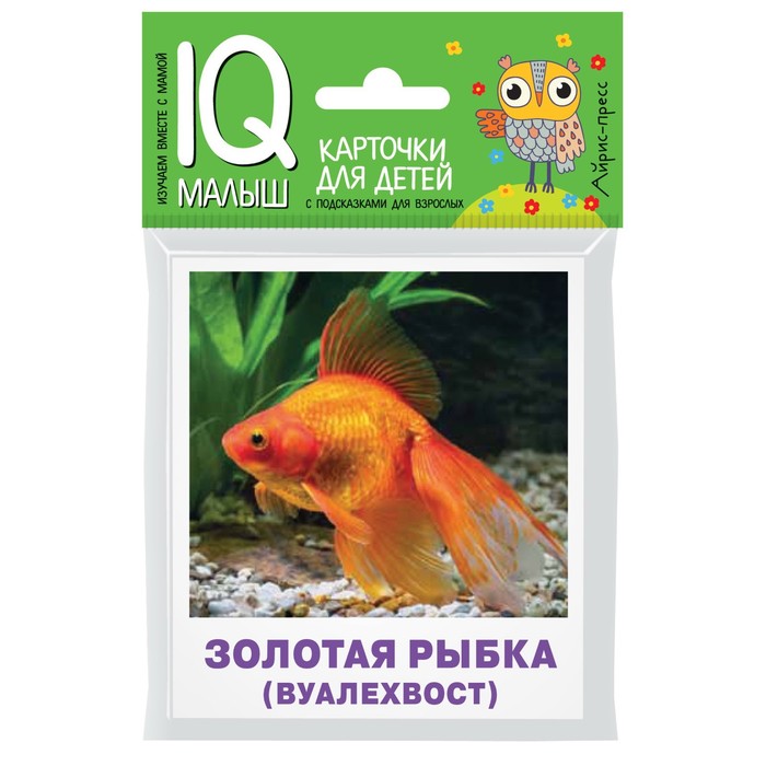 фото Умный малыш. аквариумные рыбы. набор карточек для детей айрис-пресс