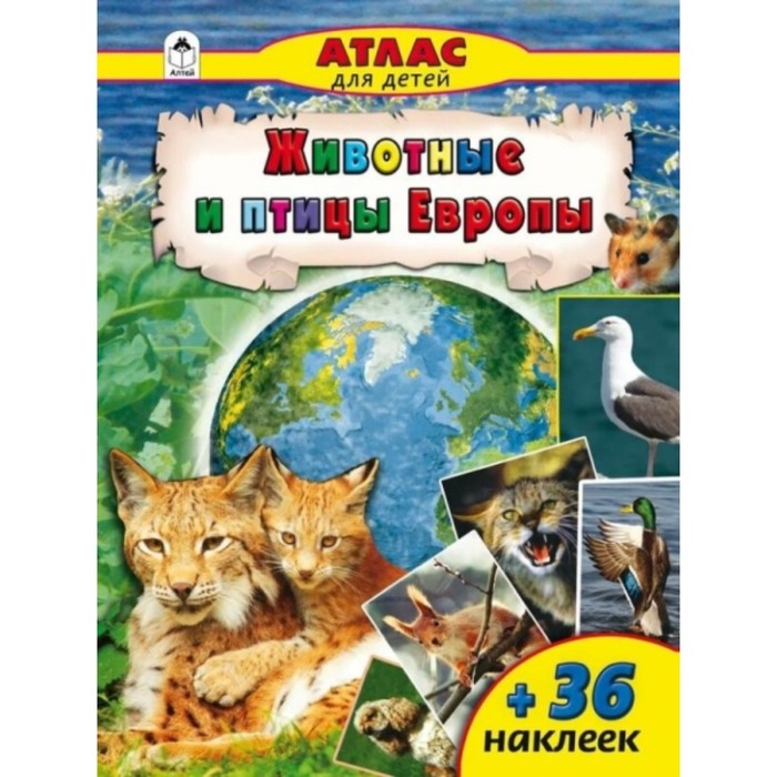 Животные и птицы Европы плакат животные европы 550х770