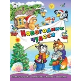 

Новогодние чудеса