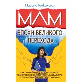 

МЛМ эпохи великого перехода. Брыкалова М.
