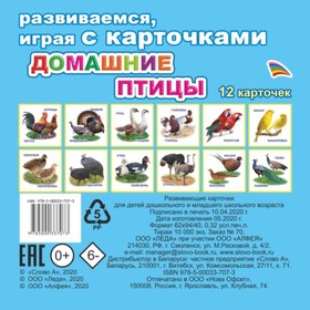 

Домашние птицы