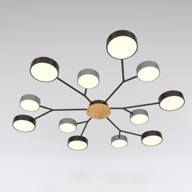 

Люстра 1319/12BKGR LED 288Вт 3000-6000К черный, серый 100х100х5 см