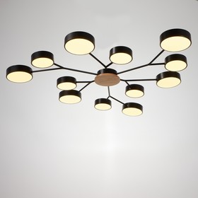 

Люстра 1319/12BK LED 288Вт 3000-6000К черный 100х100х5 см
