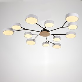 

Люстра 1319/12WT LED 288Вт 3000-6000К белый 100х100х5 см