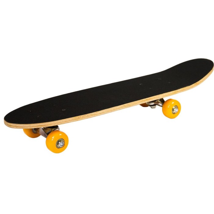 

Скейтборд Atemi ASB24D03, 24х6"