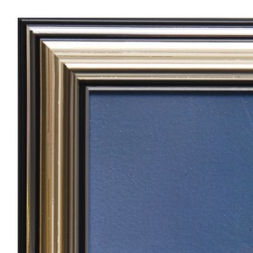 

Картина "Котёнок" 20х25(23,5х28,5) см
