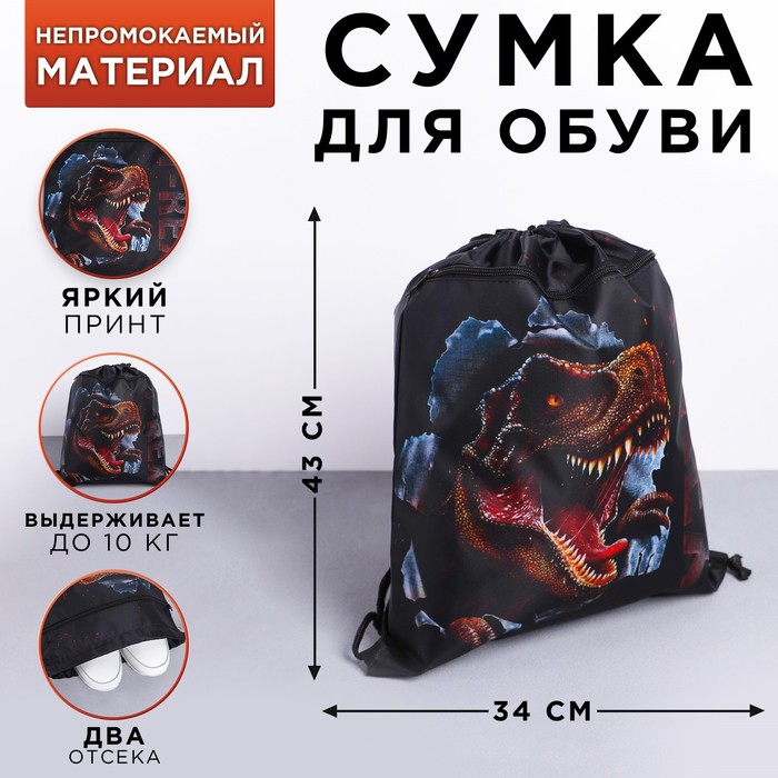 

Мешок для обуви с дополнительным карманом T-REX, размер 41х34 см