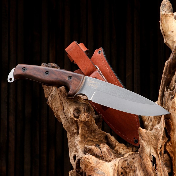 Нож охотничий "Акула" сталь - AUS8, рукоять - дерево