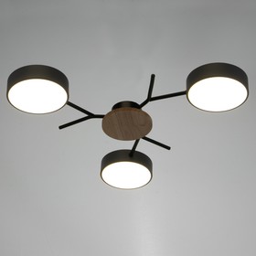 

Люстра 1319/3GR LED 72Вт 3000-6000К серый 71х55х5 см
