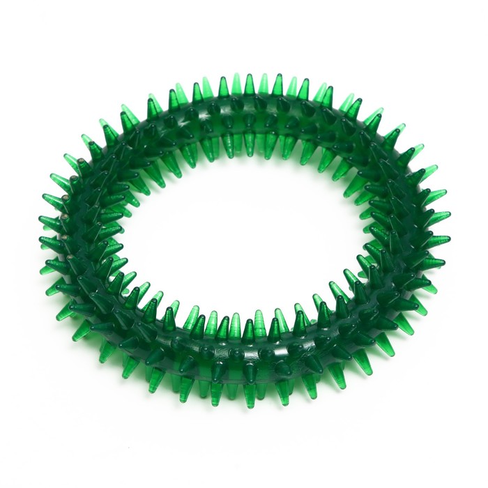 фото Игрушка для собак "кольцо с шипами", 12,5 см, зелёная пижон