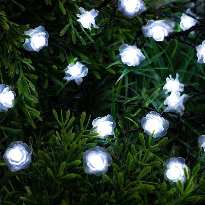 фото Гирлянда "нить" 4.5 м с насадками "розы", ip44, тёмная нить, 30 led, свечение белое, 2 режима, солнечная батарея luazon lighting