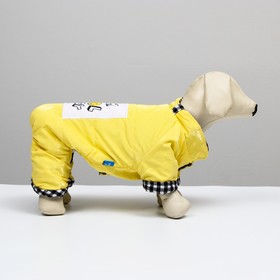 

Комбинезон "I'm cool boy", XL (ДС 36 см, ОШ 35 см, ОГ 46 см), жёлтый
