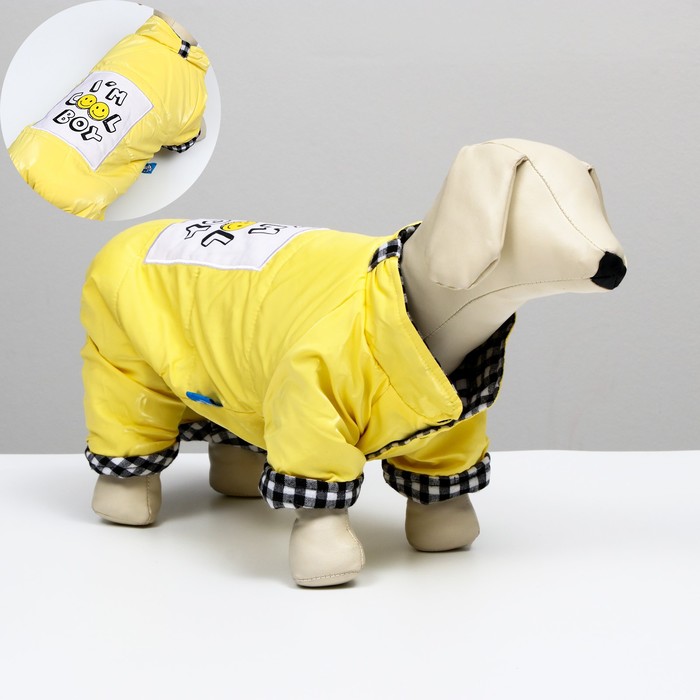 

Комбинезон "I'm cool boy", 2XL (ДС 40см, ОШ 38 см, ОГ 50 см), жёлтый