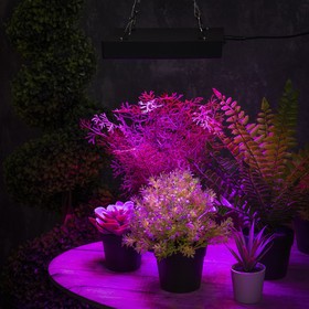 Светильник для растений, 50 Вт, полный спектр