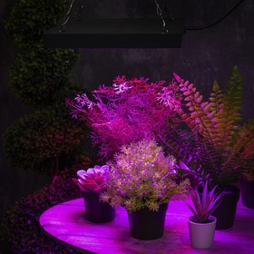 Светильник для растений, 80 Вт, полный спектр