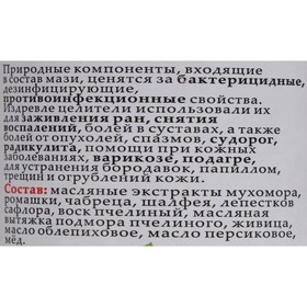 Мазь монастырская Живичная с мухомором, Солох-Аул, 100 мл от Сима-ленд