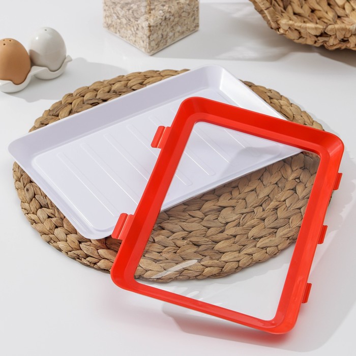 

Вакуумный контейнер для хранения продуктов, 20×30×2 см