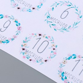 

Набор стикеров "Fabrika Decoru" №85, 12 шт