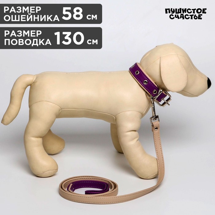 

Комплект ошейник (58х2.5 см) и поводок (130х1.4 см) из экокожи, фиолетовый с бежевым