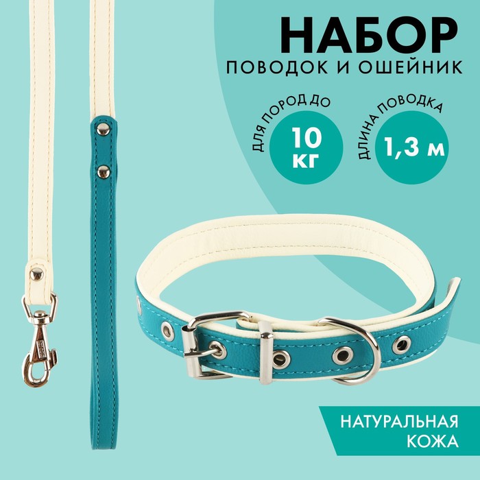 

Комплект ошейник (58х2.5 см) и поводок (130х1.4 см) из экокожи, бирюзовый с белым