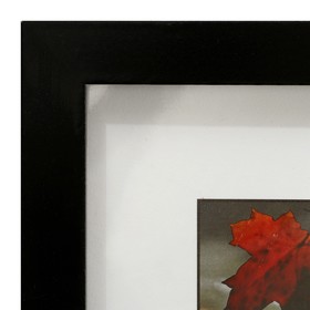 

Картина "Осенний виноградник" 35х35(39х39) см