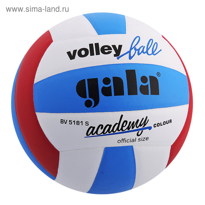 Мяч волейбольный Gala Academy, BV5181S, размер 5, PU, клееный