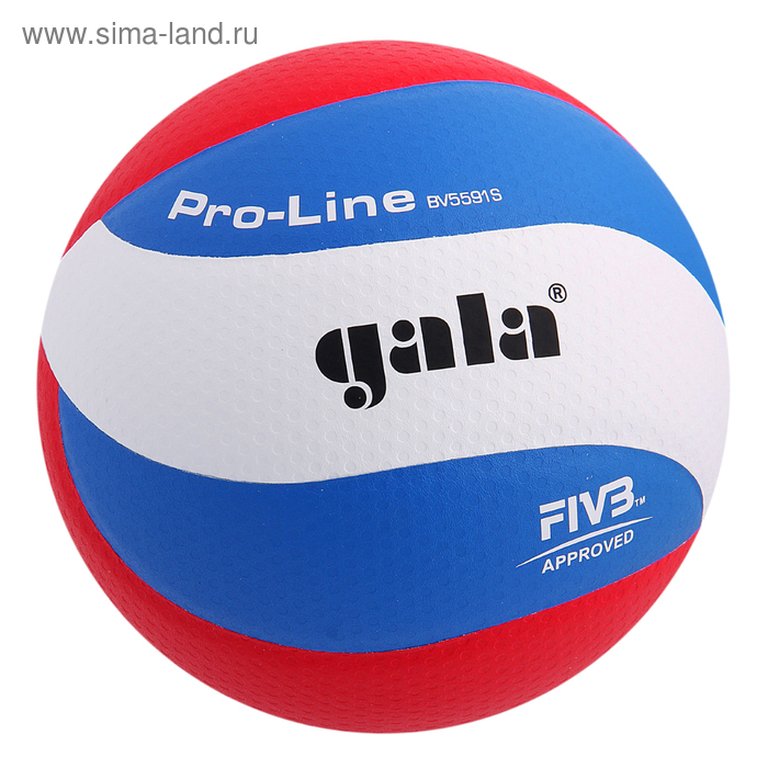 фото Мяч волейбольный gala pro-line 10 fivb, bv5591s, размер 5, клееный