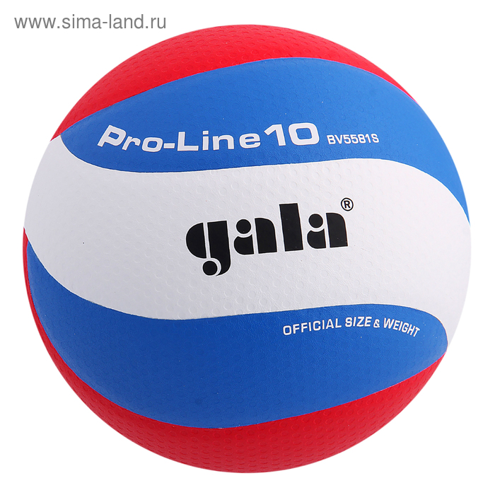 Мяч волейбольный Gala Pro-Line10, BV5581S, размер 5, клееный