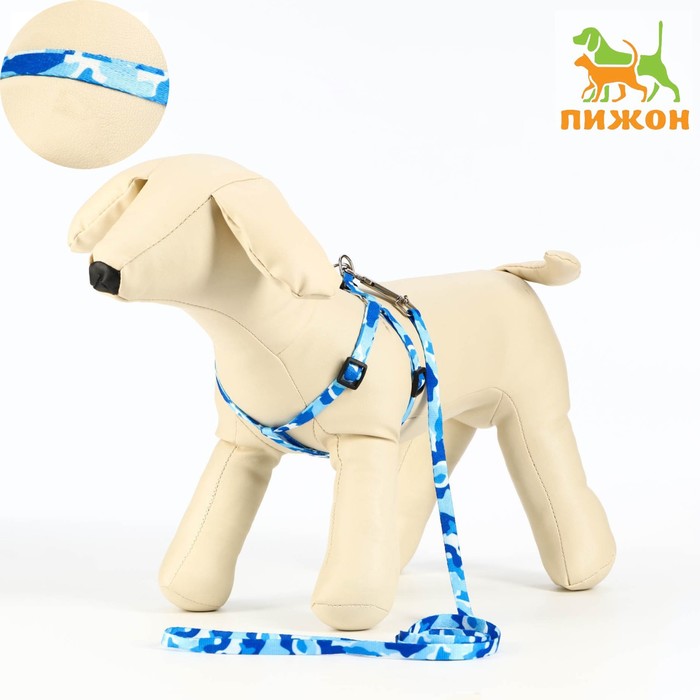 

Комплект "Камуфляж", капрон, поводок 120 х 1 см, ОГ 21-35 см, сине-голубой