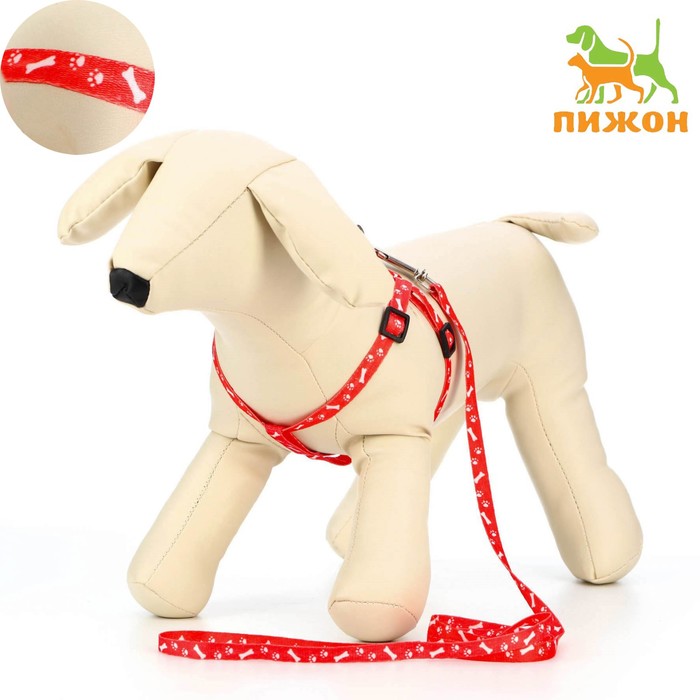

Комплект "Классика", капрон, поводок 120 х 1 см, ОГ 21-35 см, красный